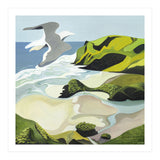 Gull Over Anawhata (Print Only) thumbnail