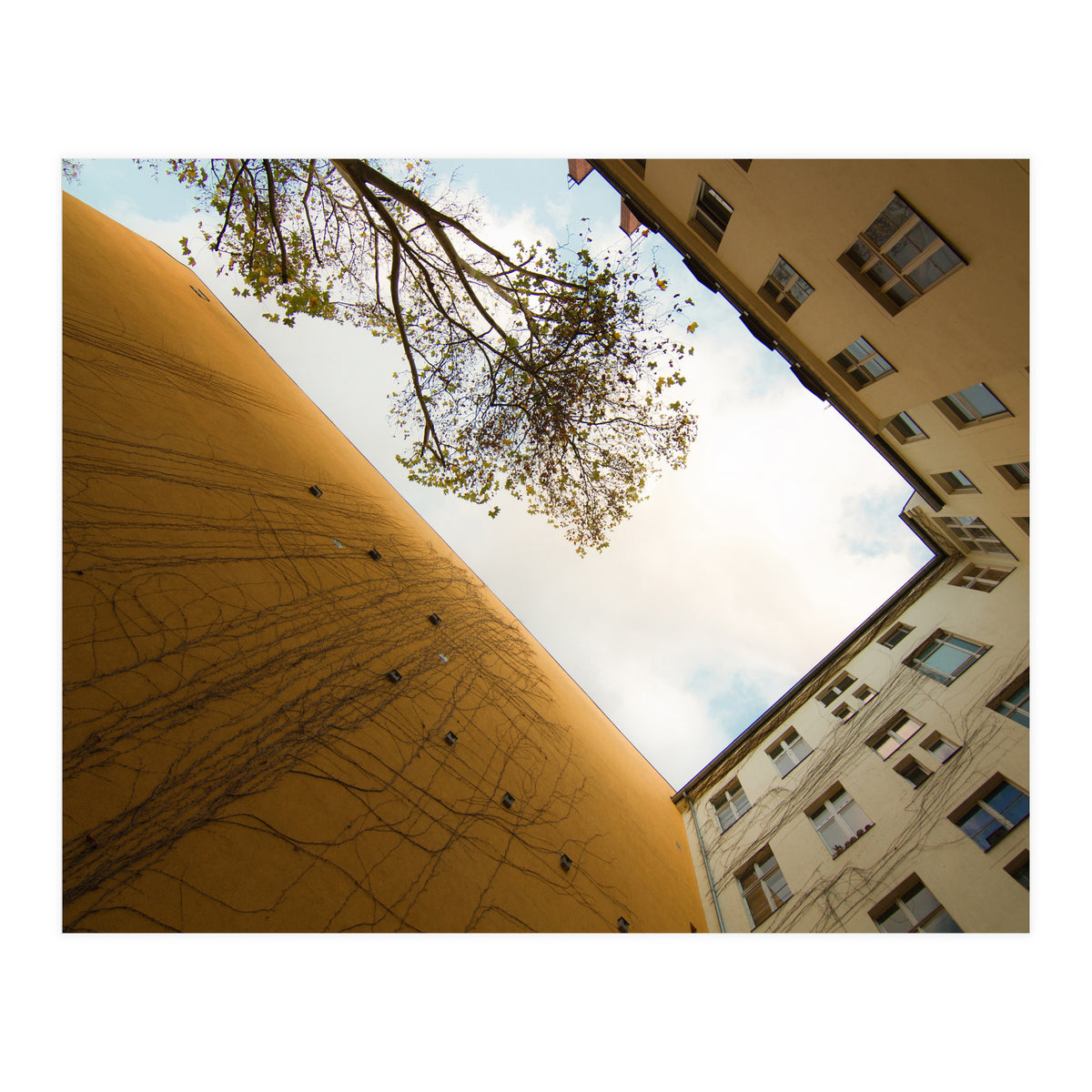 Hinterhof 74 (Print Only)