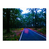 Into The Wild (Print Only) thumbnail