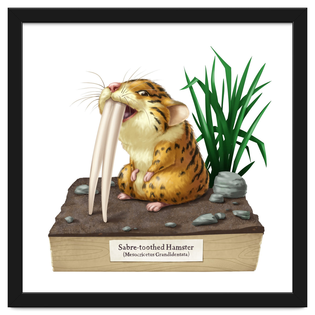 Saber-toothed Hamster