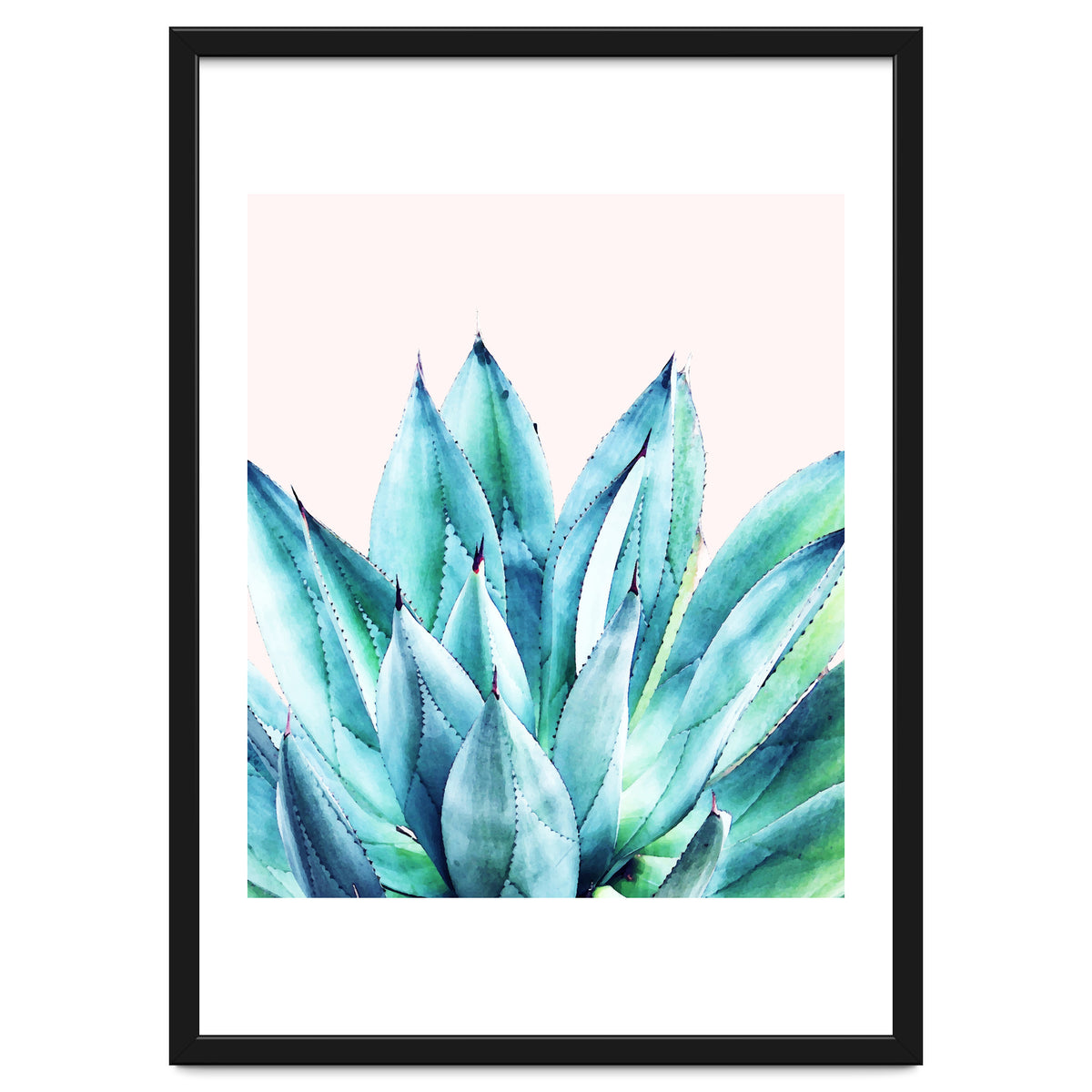 Agave Vibe