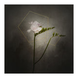 Graceful flower - Freesia | vintage style gold  (Print Only) thumbnail