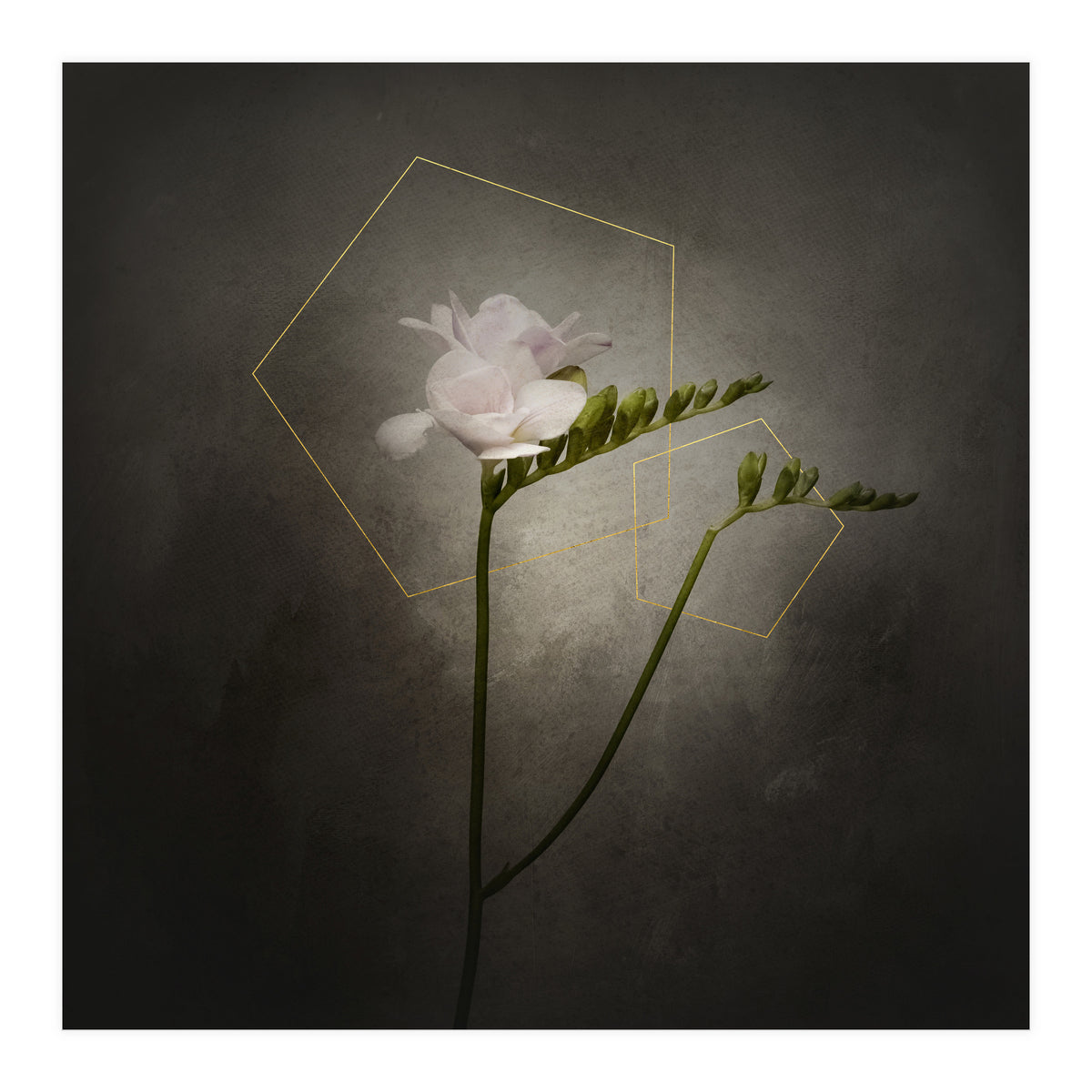 Graceful flower - Freesia | vintage style gold  (Print Only)