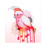 Major Mitchell's cockatoo (Print Only) thumbnail