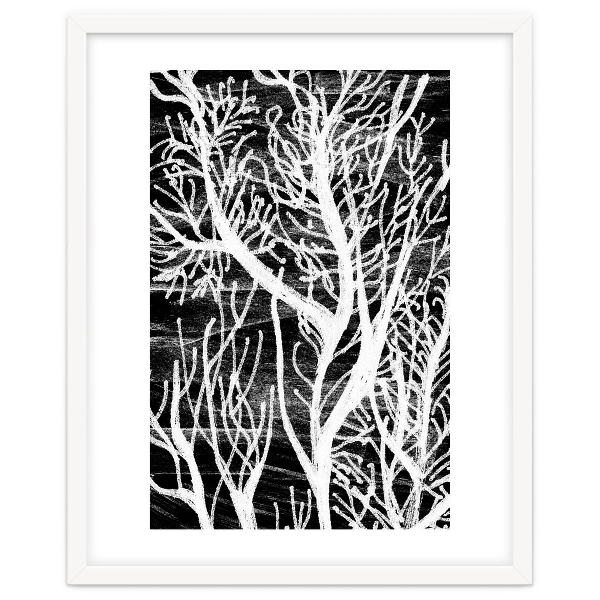 Desert Colours Collection 5