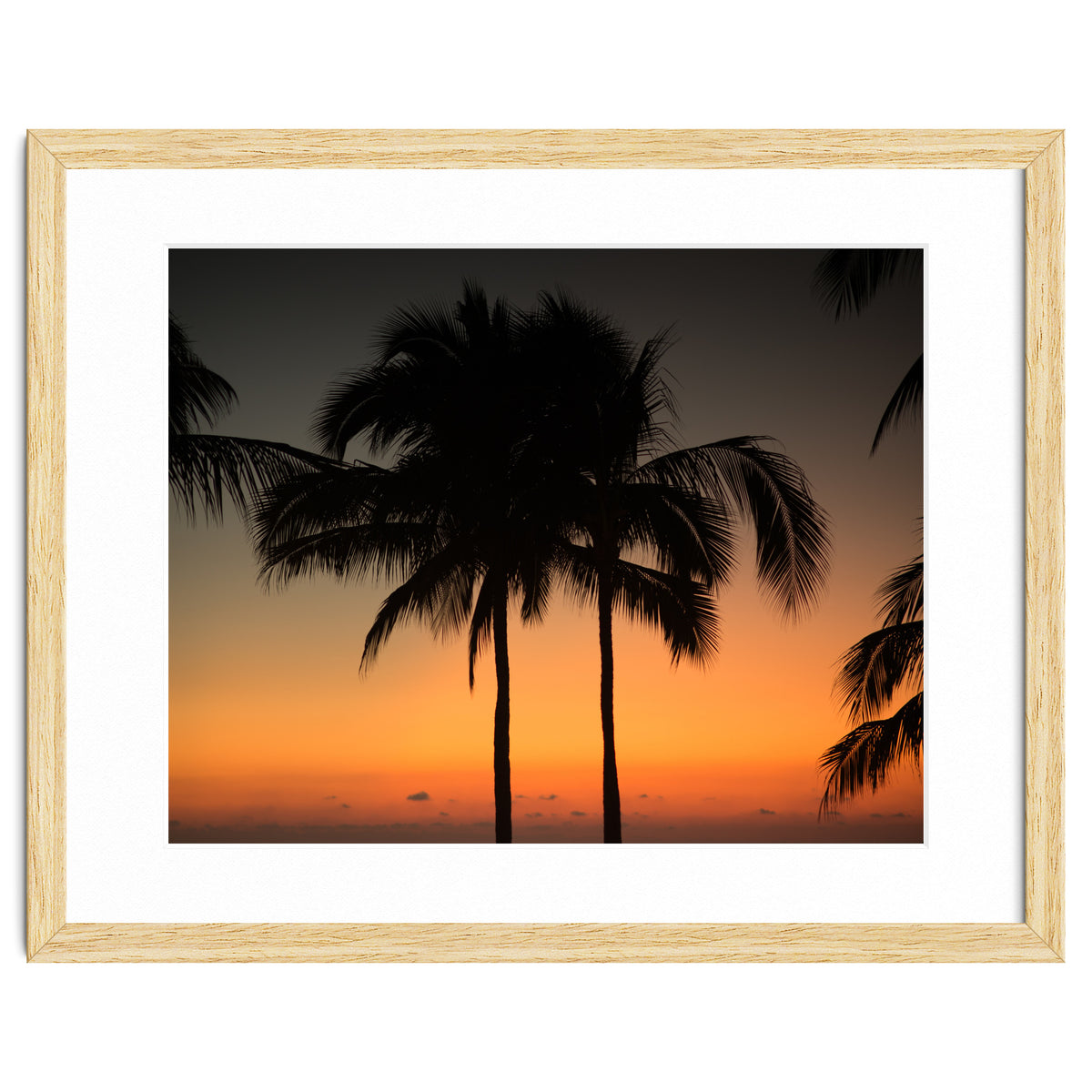 Mexico, November nights