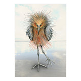 Reddish Egret (Print Only) thumbnail