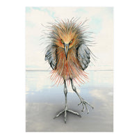 Reddish Egret (Print Only)