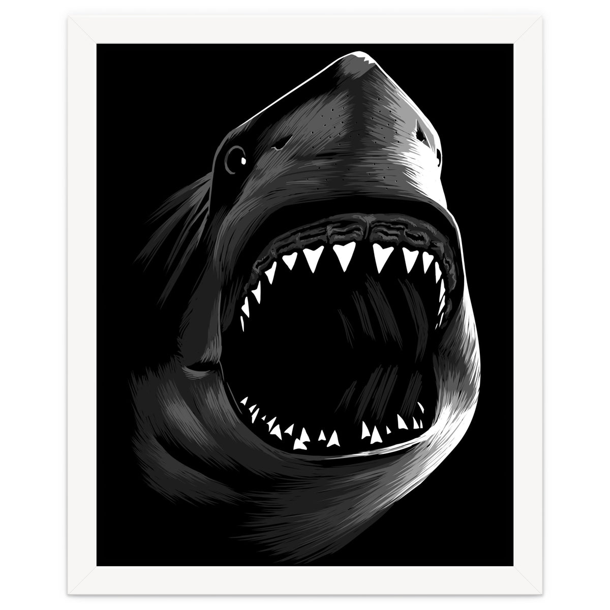 Megalodon