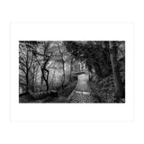 Monochrome path (Print Only) thumbnail