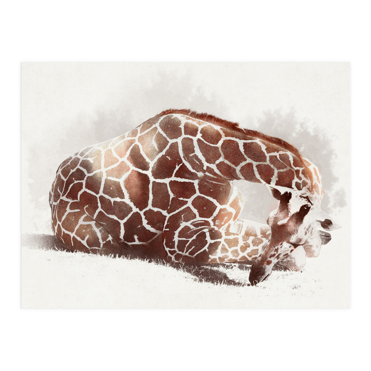 Giraffe (Print Only)