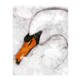 Mute swan (Print Only) thumbnail
