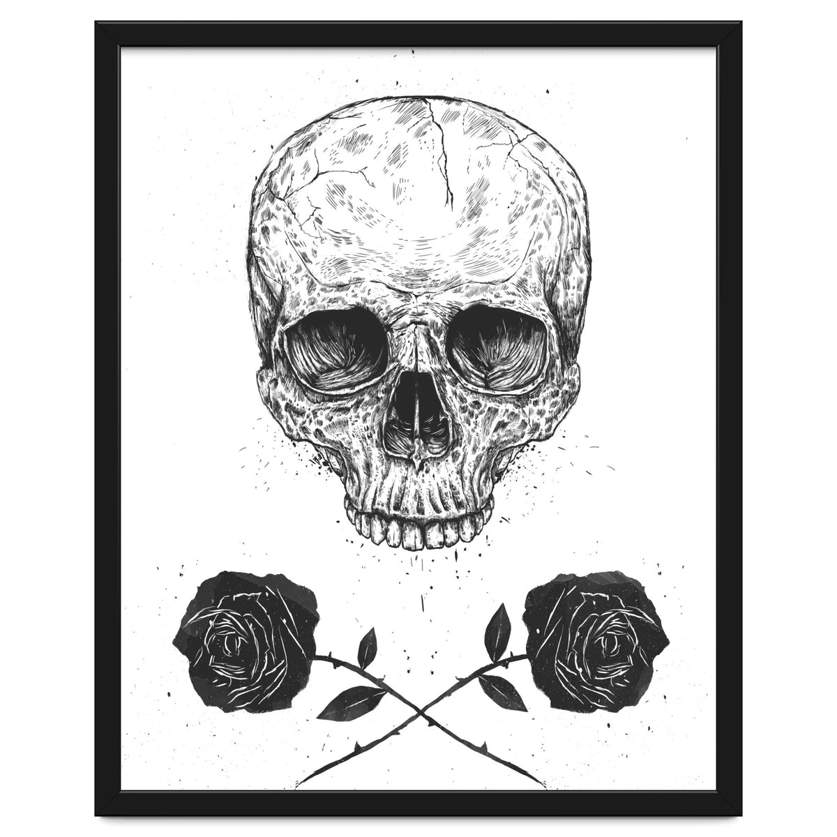 Skull N Roses