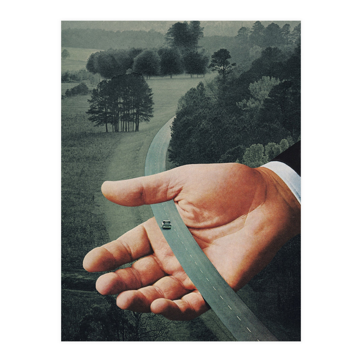 Comfort Zone (Print Only)