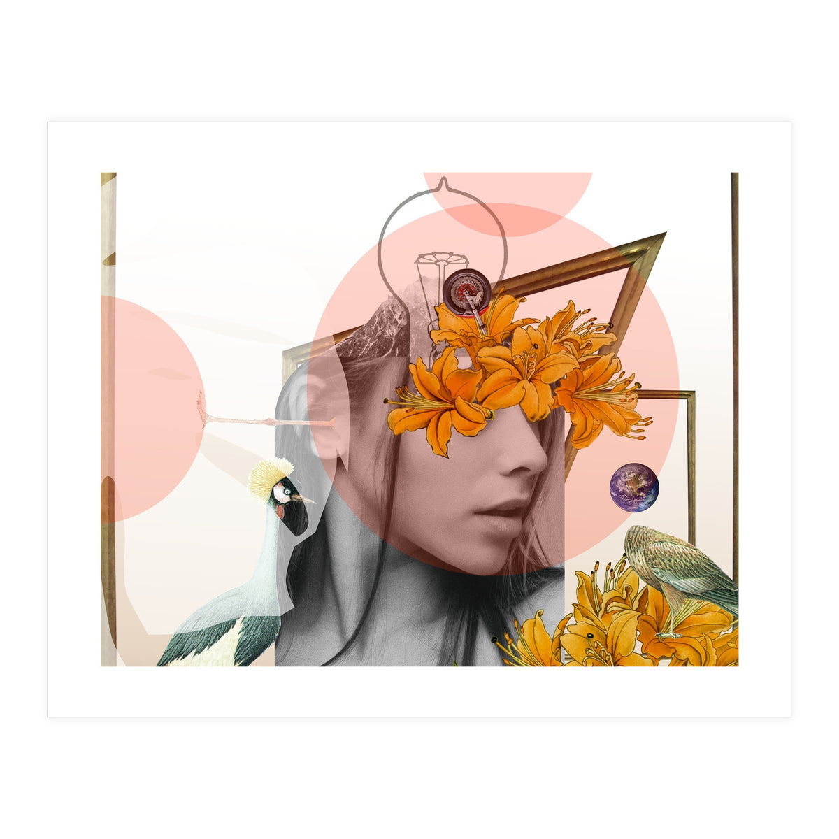 Dreamland Division · D (Print Only)