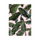 Palms (Print Only) thumbnail