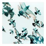 Rise (Print Only) thumbnail