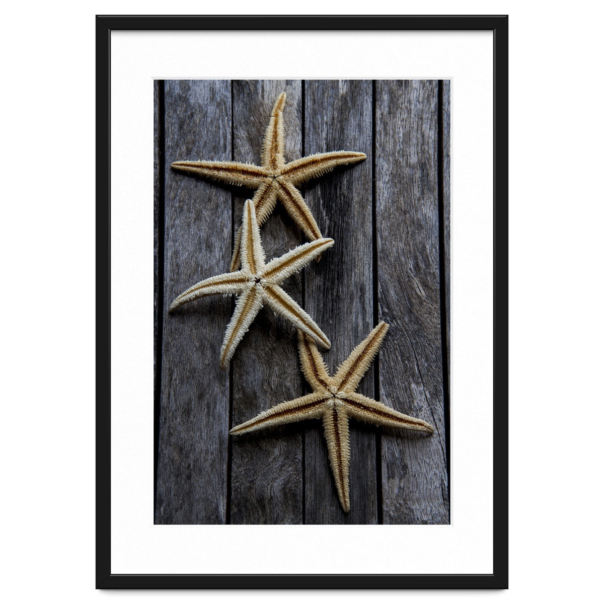 Starfishes in wooden