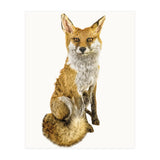 Cc Animal 03 (Print Only) thumbnail