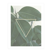 ficus triangle (Print Only)