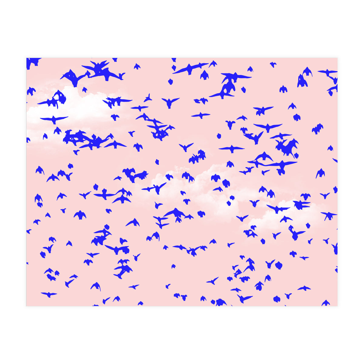 The Right To Fly (Print Only)