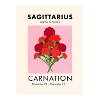 Sagittarius Birth Flower Carnation  (Print Only)