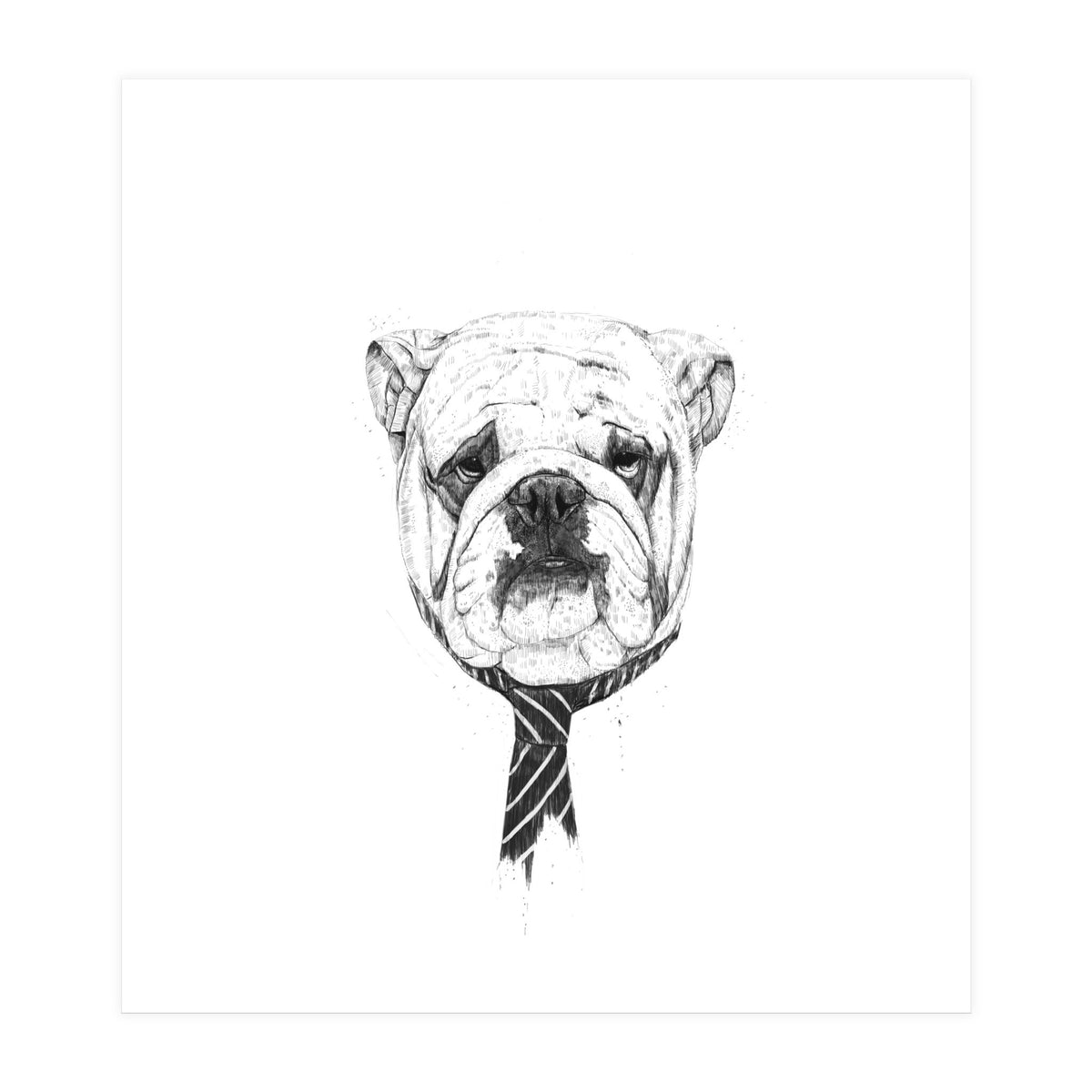 Cooldog (Print Only)