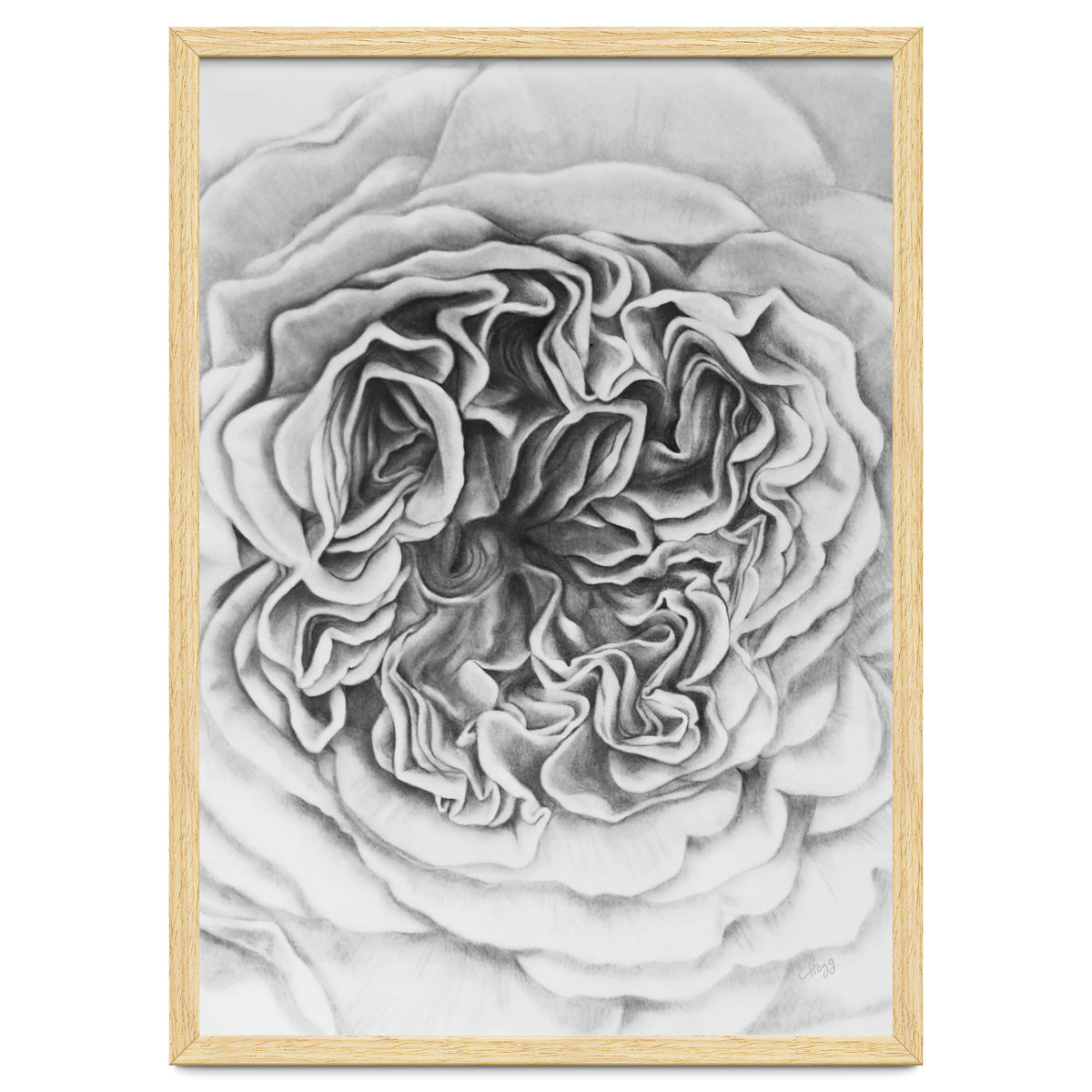 A Rose in Monochrome