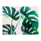 Wild Leaves (Print Only) thumbnail