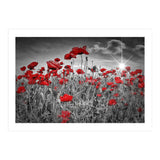 Idyllic Field of Poppies with Sun (Print Only) thumbnail