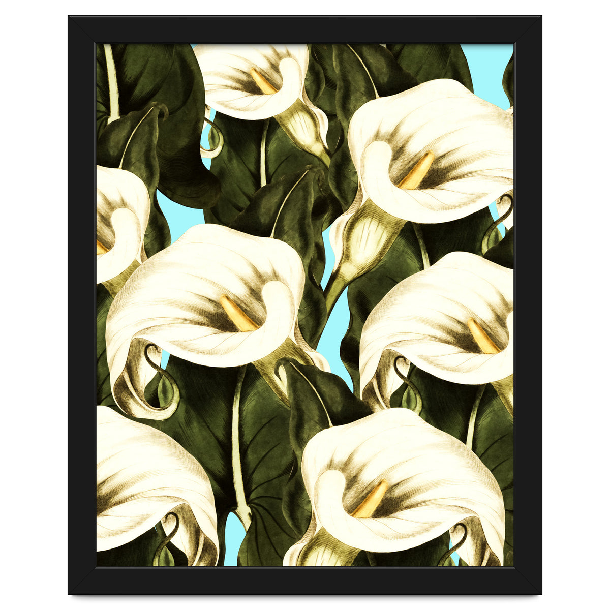 Pattern floral Ethiopian-Calla