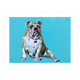 Duchess (Print Only) thumbnail