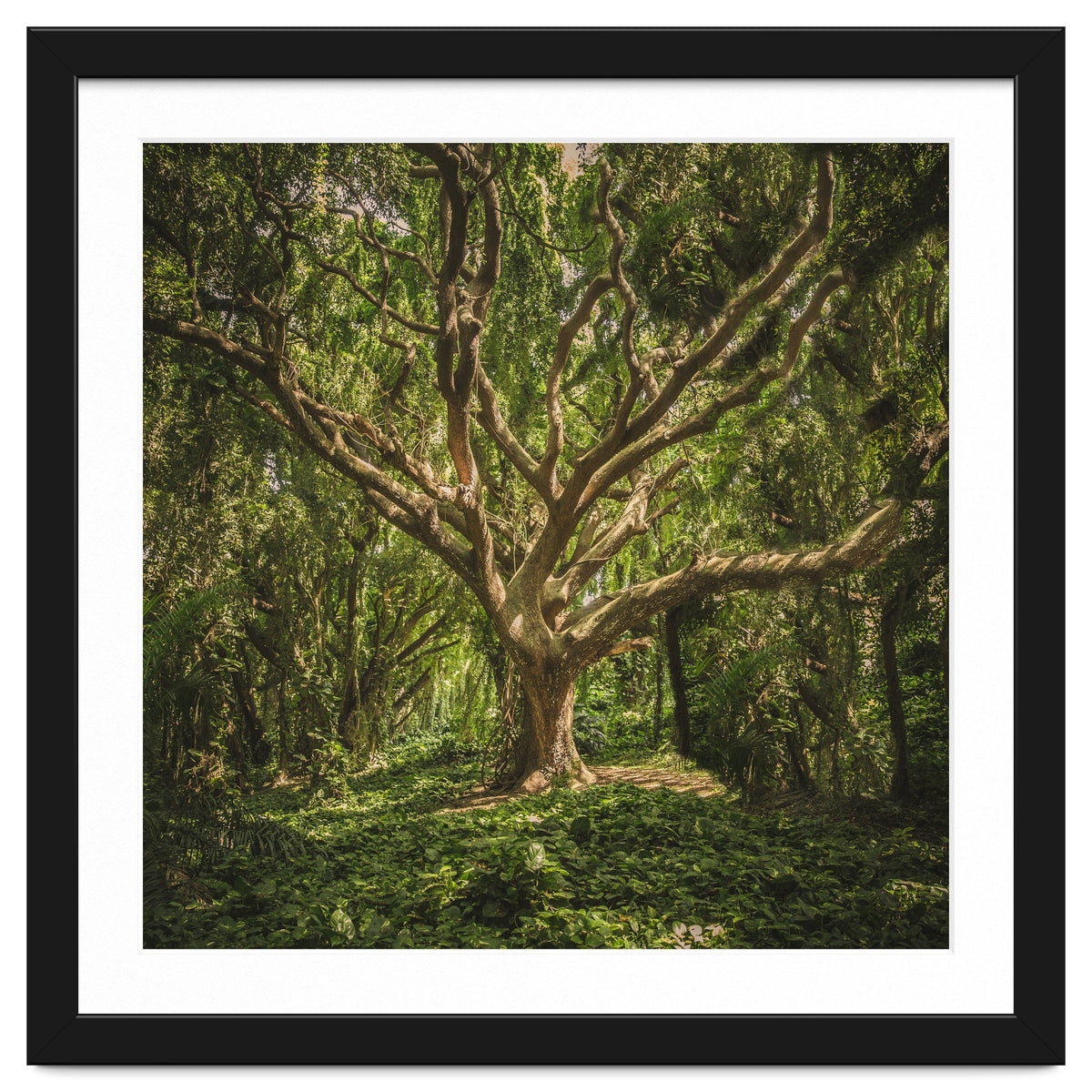 Spirits inside the wood