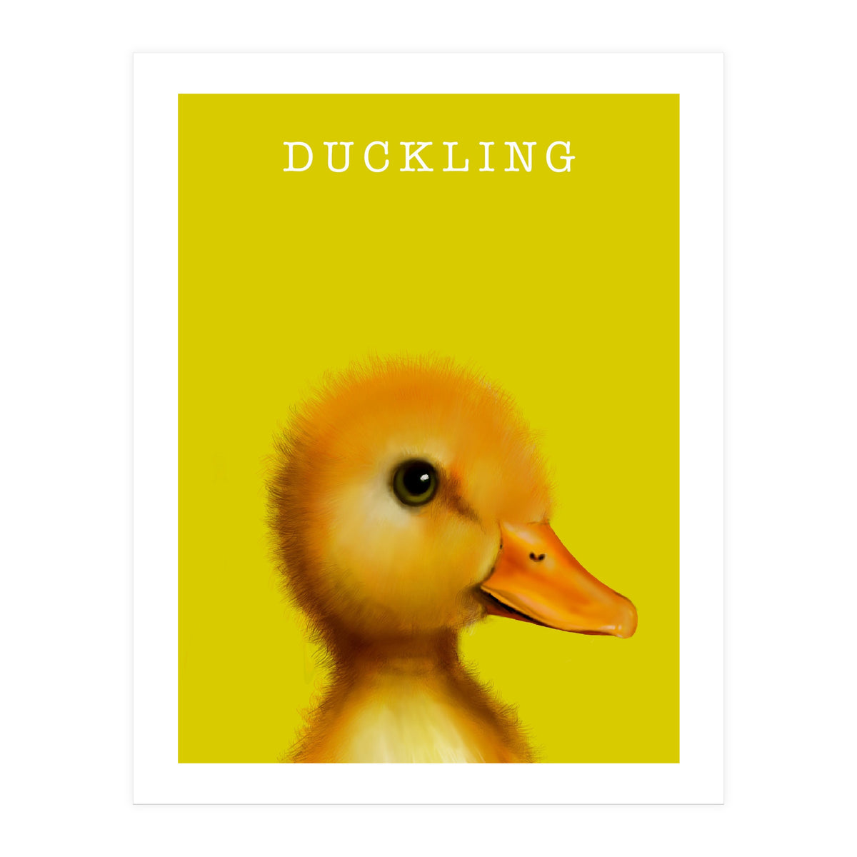 Duckling (Print Only)