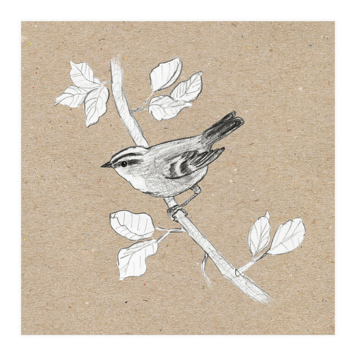 Gold crest (Print Only)