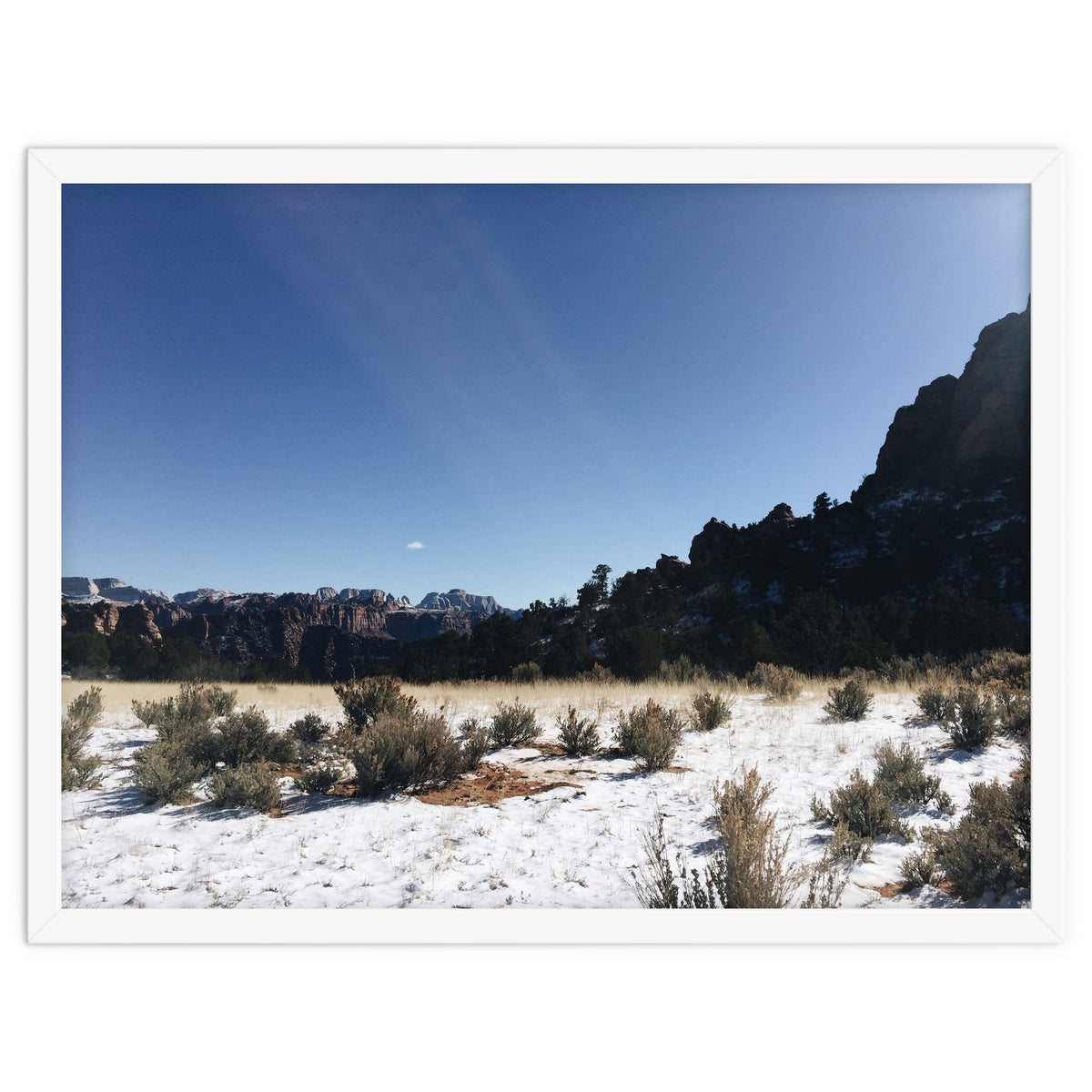 Zion National Park II