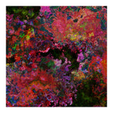 Blooms  (Print Only) thumbnail