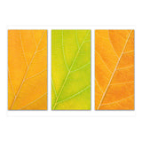 Autumn Leaves (Print Only) thumbnail