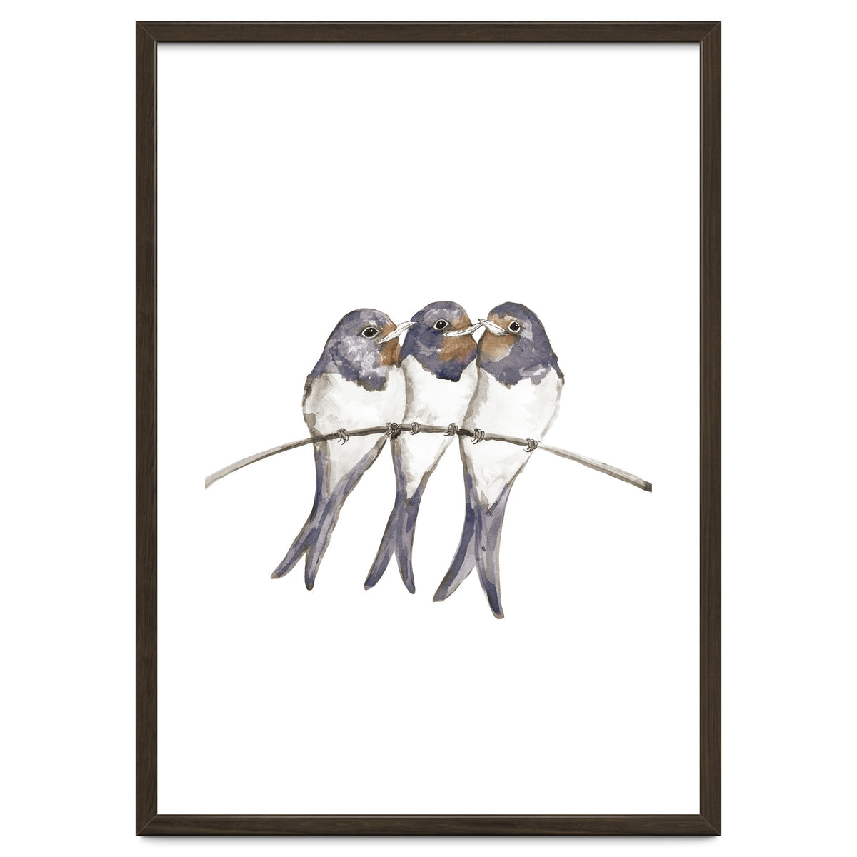 Three young swallows
