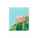 Carlie (Print Only) thumbnail