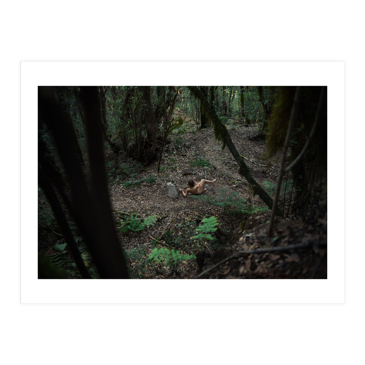 Into the Wild (Print Only)