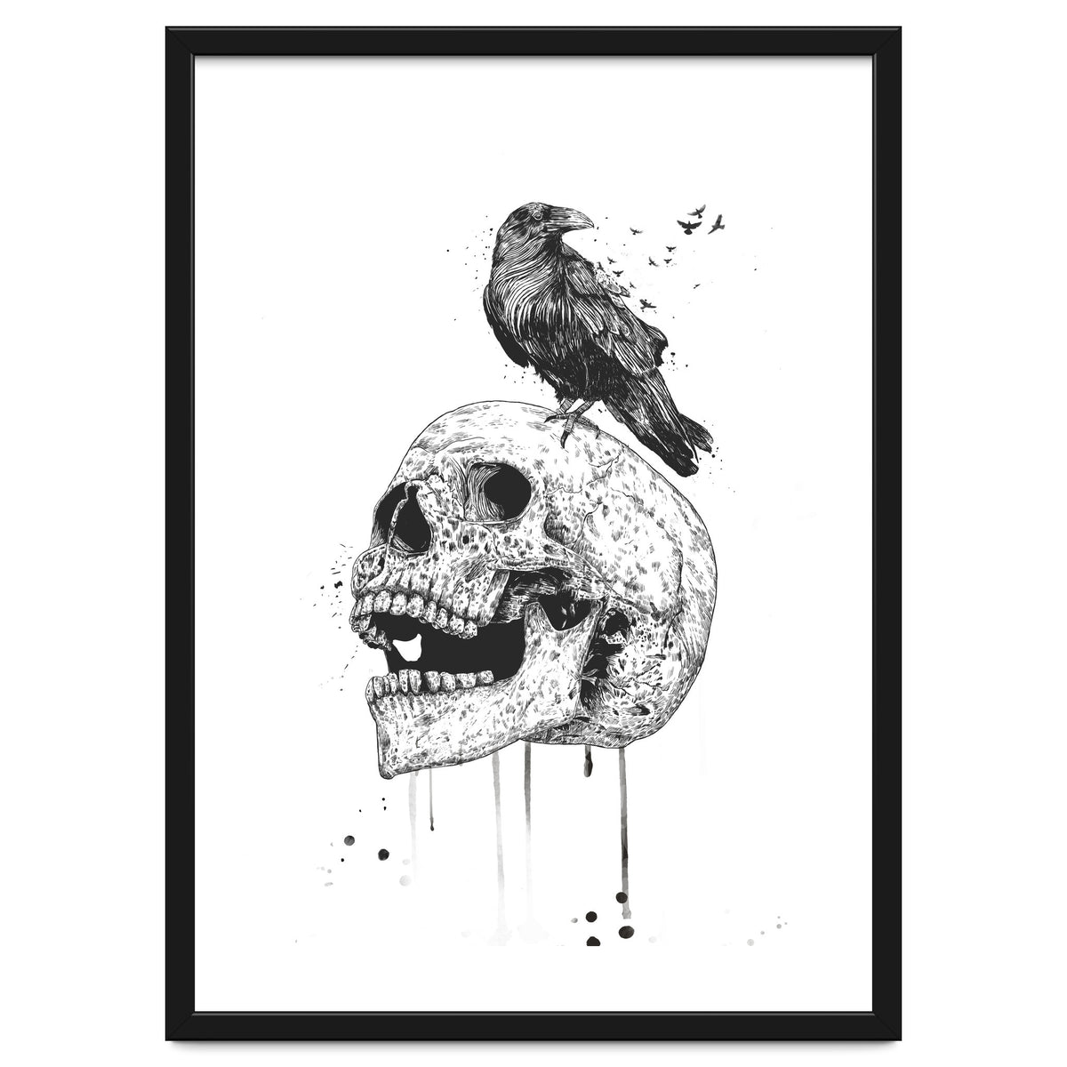 New Skull (bw)