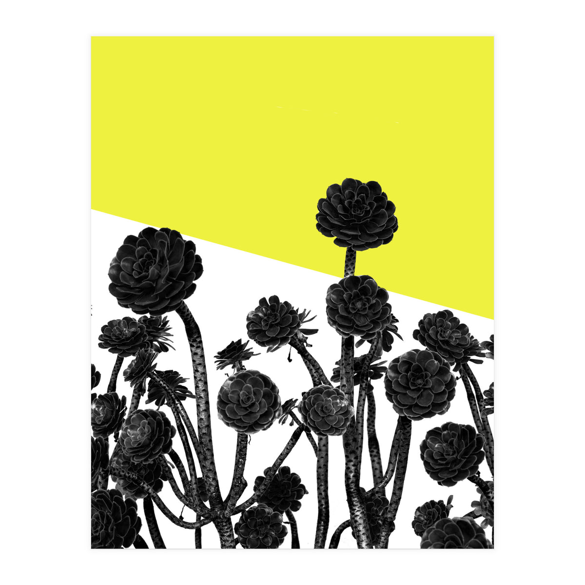 Flowers yellow (Print Only)
