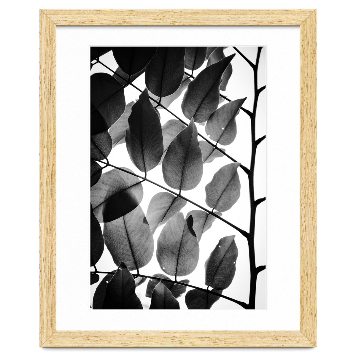 Branches and Leaves II