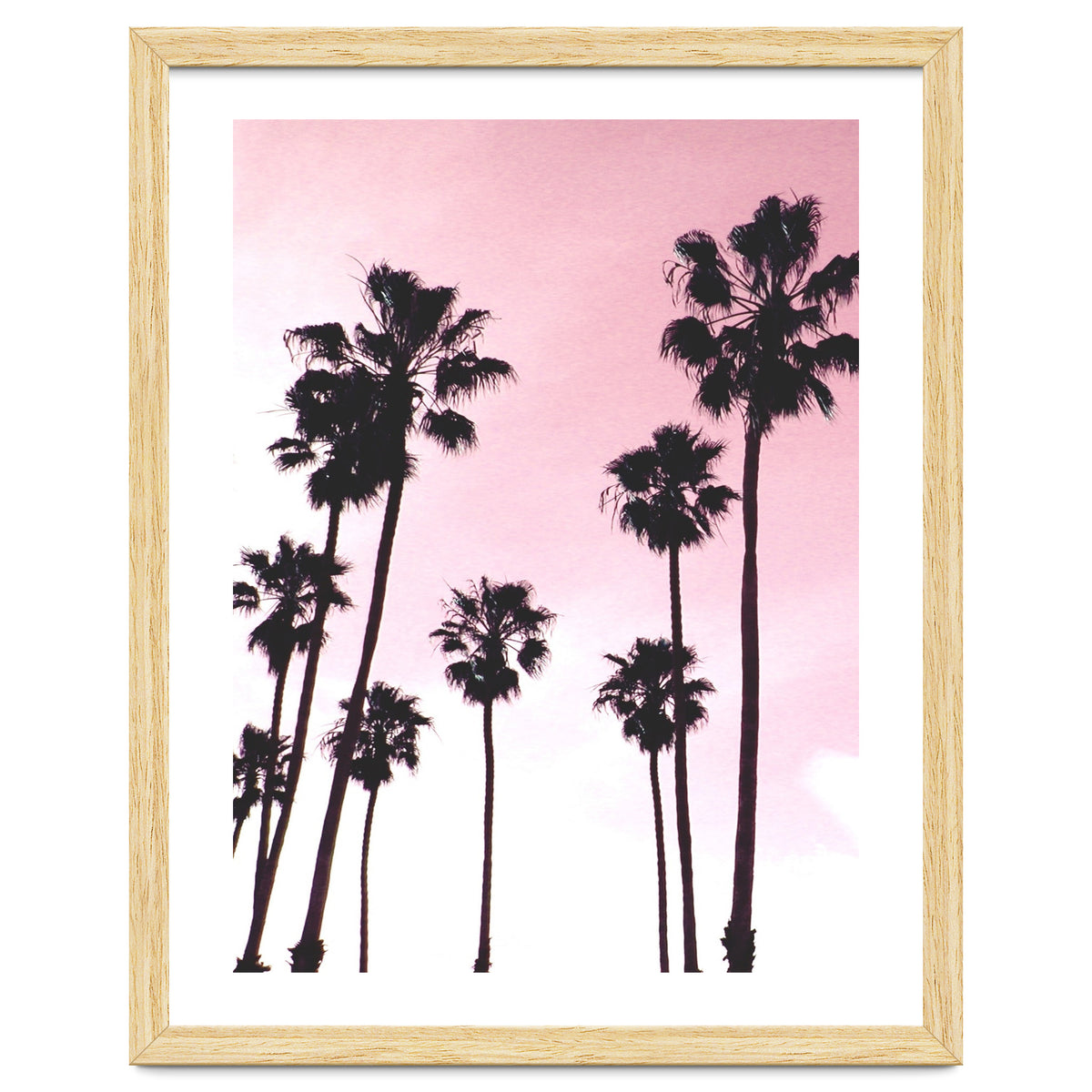 Palms & Sunset
