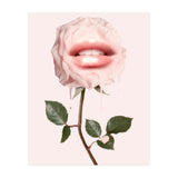 Glossy Rose (Print Only) thumbnail