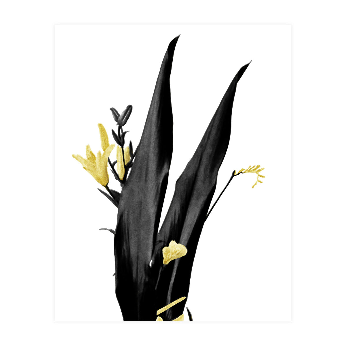 Flower Minimal Black And Gold 03 (Print Only)