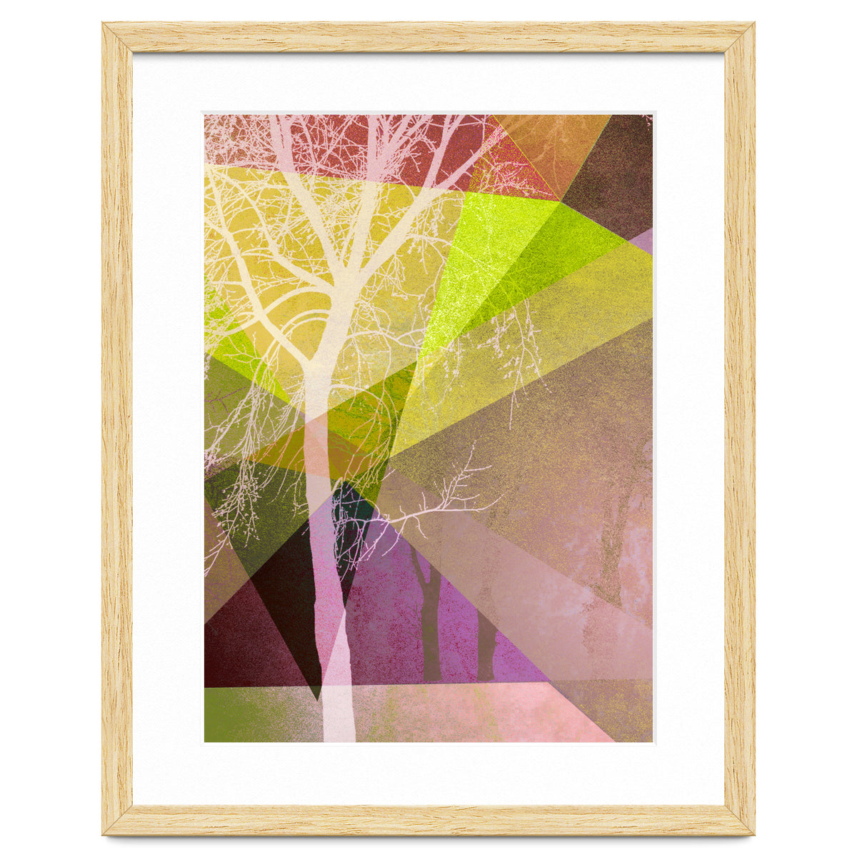 P22 Trees And Triangles