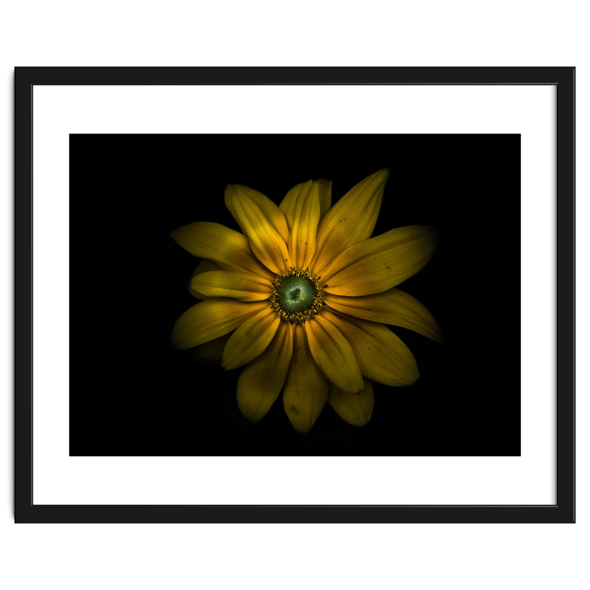 Backyard Flowers No 34 Color Version