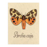 Garden tiger moth illustration (Print Only) thumbnail